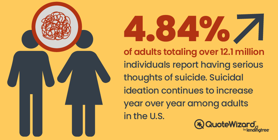 Informational graphic on suicide in the United States